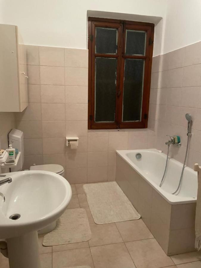 הוילה Mimosa House Torino מראה חיצוני תמונה